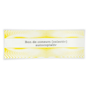 Bon consum A5 autocopiativ 2ex