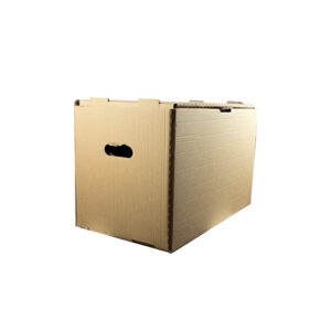 Container arhivare cu capac integrat, manere si pereti dublii 555*350*320mm (poate stoca 7 bibliorafturi de 8cm sau 3 cutii de arhivare de 15cm) – tip Esselte