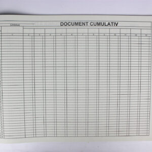 Document cumulativ A3
