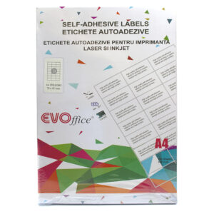Etichete color auto. pt impr. A4 100 coli/cutie EVOffice- 24/A4 galben