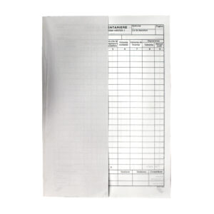 Lista inventariere vertical A4, 100 file
