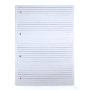 Rezerva caiet mecanic A4 50 file/set dictando