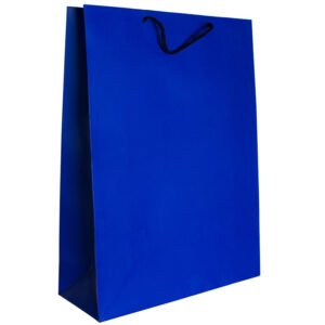 Punga din carton 210gr plastifiat mat 31*42*12 cm - albastru